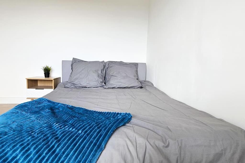 C'Est Chez Maurice! 4 Ch Wifi Balcon Parking Free Daire Saint-Etienne  Dış mekan fotoğraf